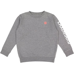 Boys Beach Lacrosse Crew Fleece - Gray